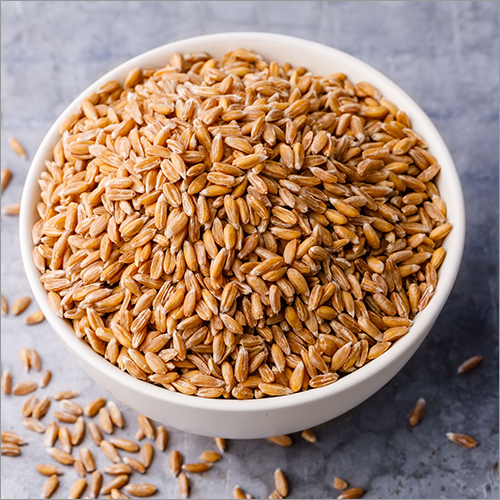 Whole Wheat
