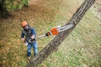Hta 85 Pole Pruner Batter Operated