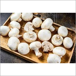 White Natural Mushroom