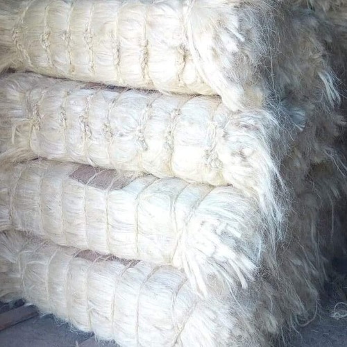 Sisal F