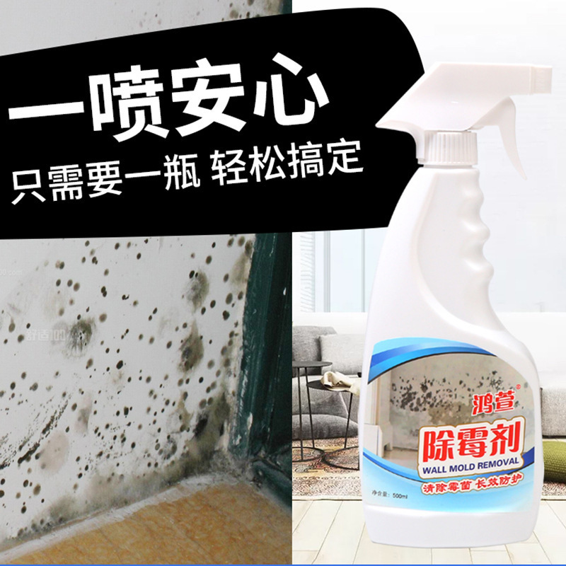 Wall Mold Remover