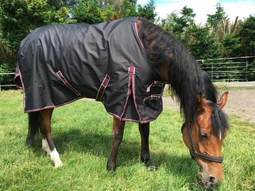 Horse Turnout Winter Rugs