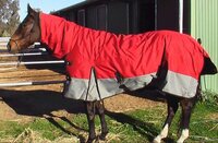 Horse Turnout Combo Rugs
