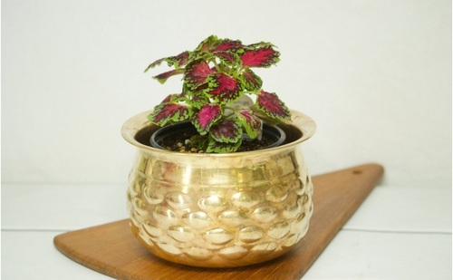 Compact Brass Indoor Planter