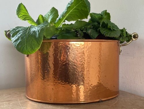 BRASS PLANTER INDOOR BRASS POT PLANTER GARDENING PLANTER AND POTS