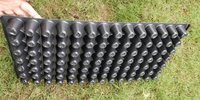Plastic Seedling Tray