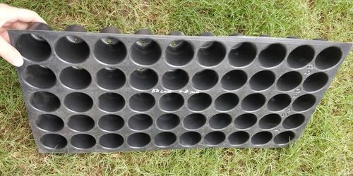 Plastic 50 Cells Seedling Tray