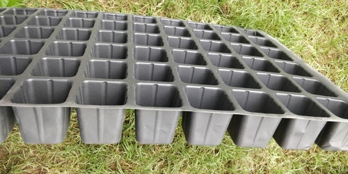 Square Seedling Tray