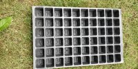 Agriculture Seedling Tray