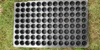 Seedling Tray For Agriculture