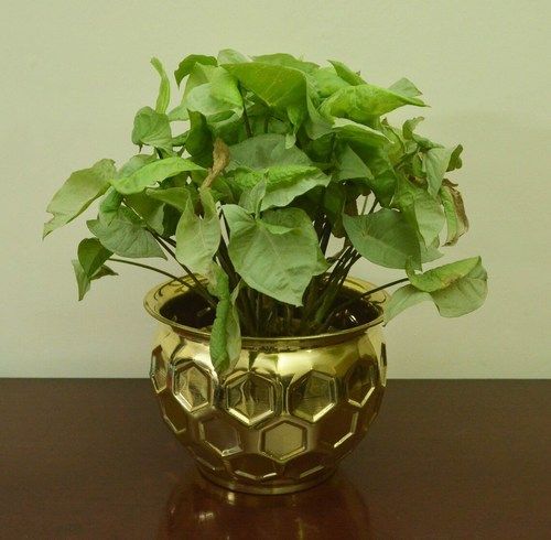 BRASS HIGH QUALITY NEW DESIGN INDOOR PLANTER