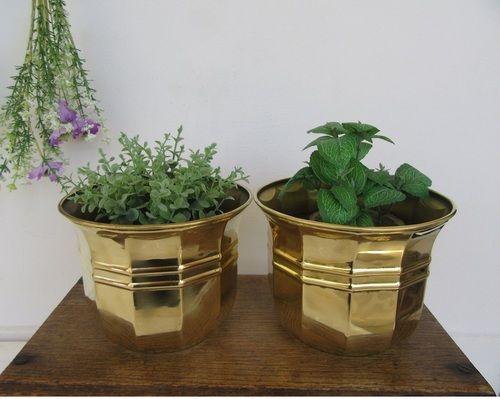 Brass Stylish Planter