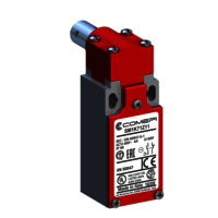 Hinge mounting safety limit switches