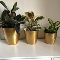 BRASS PAIR OF SHINING POLISHED PLANTER
