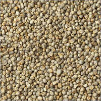 Organic Bajra - Admixture (%): Max 1%