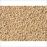 Organic Jowar - Admixture (%): Max 1%