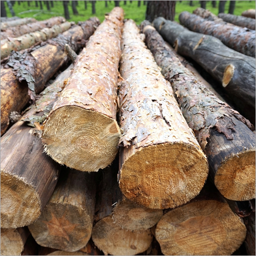 Okan Wood Logs