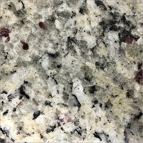 Premium Quality Moon White Granite Slab