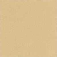 Latte Ivory Floor Tiles