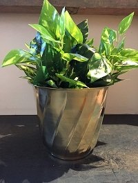 BRASS SMALL SIZE CONE SHAPED PLANTER
