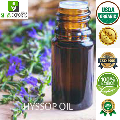 Hyssop Oil By SHIVA EXPORTS INDIA