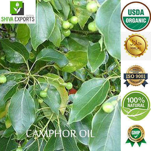 Camphor Oil