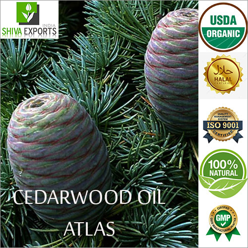 Cedarwood Atlas Oil By SHIVA EXPORTS INDIA