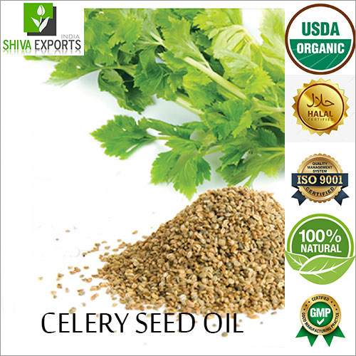 Celery Seed Oil By SHIVA EXPORTS INDIA