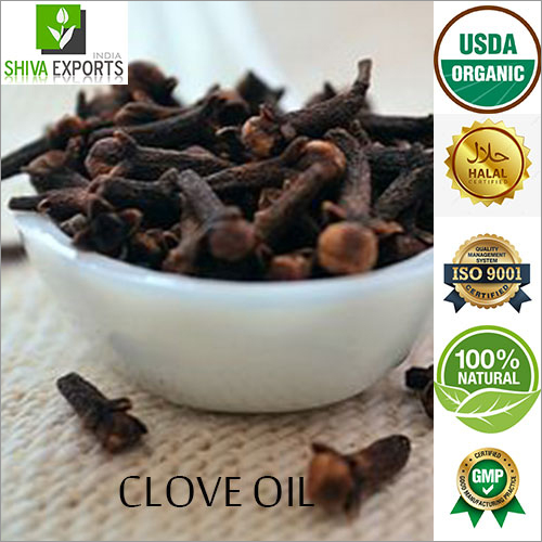 Clove Oil at Best Price in Kannauj, Uttar Pradesh Shiva Exports India