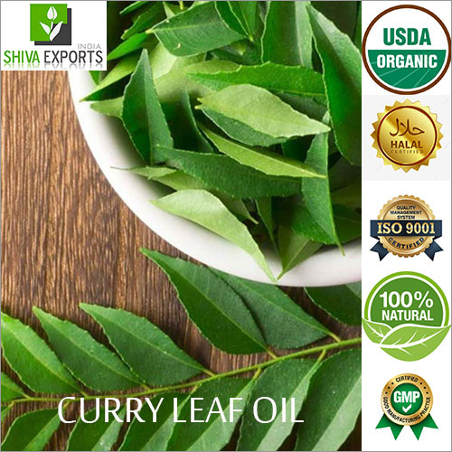 Curry Leaf Oil By SHIVA EXPORTS INDIA