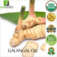 Galangal Oil