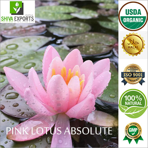 Pink Lotus Absolute Essential Oil By SHIVA EXPORTS INDIA