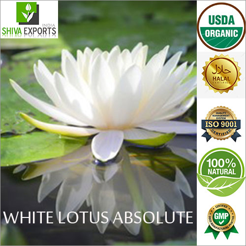 White Lotus Absolute Essential Oil