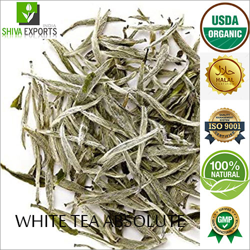 White Tea Absolute Essential Oil