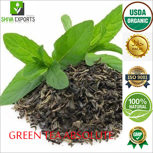 Green Tea Absolute Essential Oil By SHIVA EXPORTS INDIA