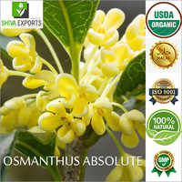 Osmanthus Absolute Essential Oil