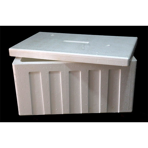 Thermocol Big Fish Box Manufacturer at Best Price in Kolkata, West Bengal