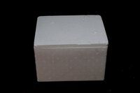 Thermocol Plain Std Box