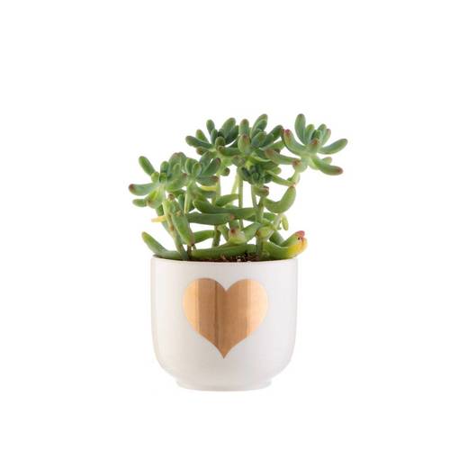 Heart Shaped Planter