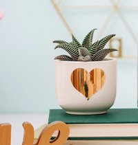 HEART SHAPED PLANTER