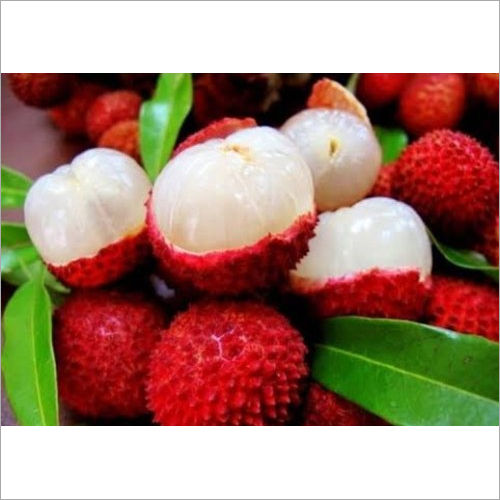 Fresh Litchi Pulp