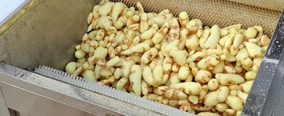 YDPL-1500C 300-2000KG brush roller potato sweet potato washing peeling machine