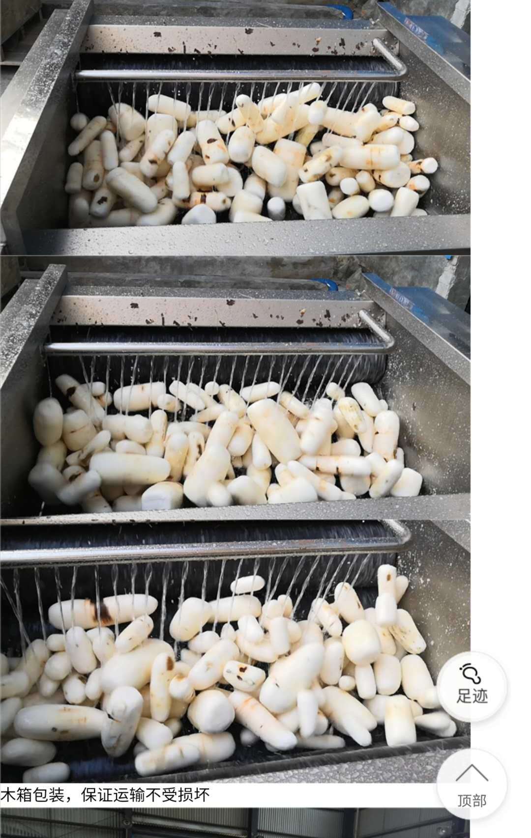 YDPL-1500C  300-2000KG brush roller potato sweet potato washing peeling machine