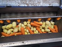 YDPL-1500C  300-2000KG brush roller potato sweet potato washing peeling machine