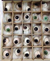 Conxport .  Artificial Eyes
