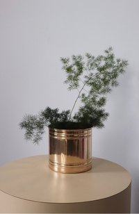 Brass Table Top Planter For Home - Brass, 6 Inch Diameter X 5 Inch Height, Golden | Handcrafted, Corrosion Resistant, Eco-friendly