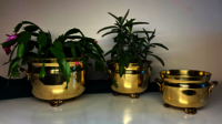 UNBREAKABLE NET PLANTER