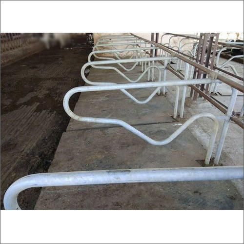 Mild Steel Cattle Cubicle