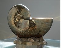 Shell Shaped Brass Indoor Planted