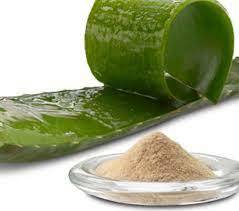 Aloe Vera Powder